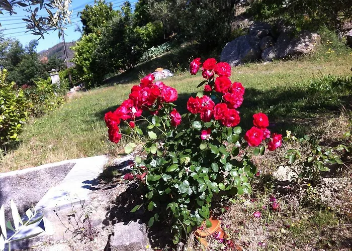 Holiday home Al Vivenda Romantica *